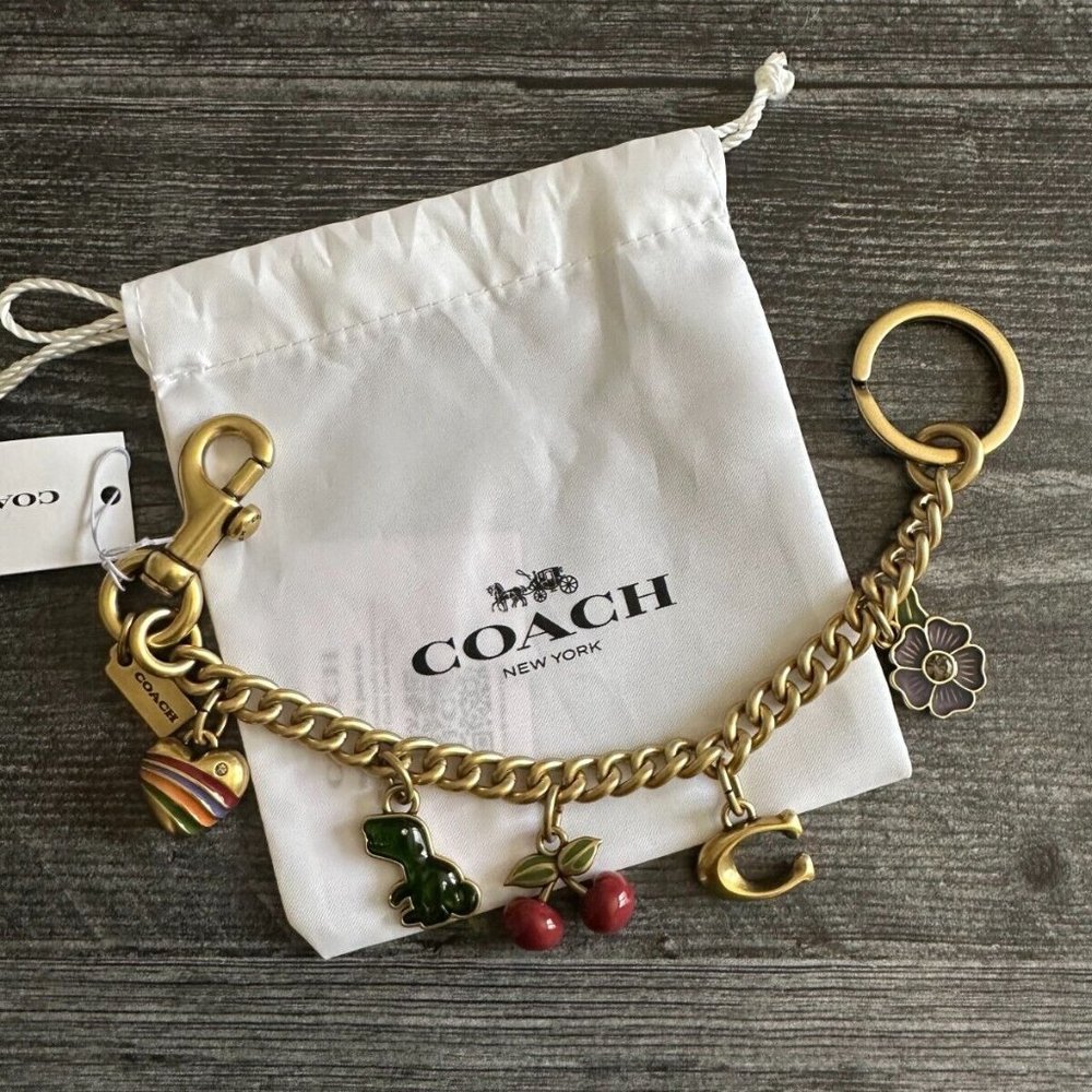 BN Coach icons Motif Chain Bag Charm CN119 Rare